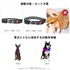 (2025 Model Advance Release) Glowing Collar, Dog Walking Light, (5