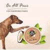 Company of Animals Pet Head On All Paws - Sensitive