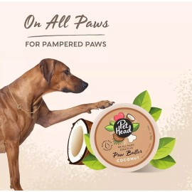 Company of Animals Pet Head  On All Paws - Sensitive - Coconut Paw Butter 1.4 oz