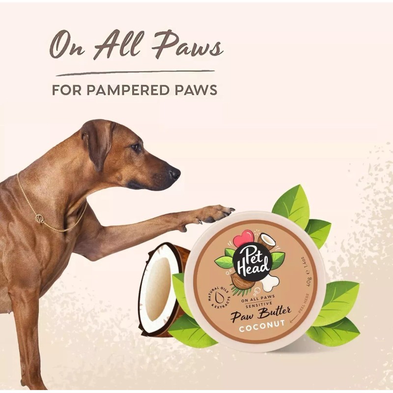 Company of Animals Pet Head On All Paws - Sensitive