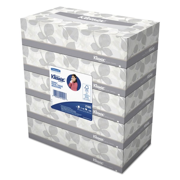 White Facial Tissue, 2-Ply, 100 Sheets/Box, 5 Boxes/Pack, 6 Packs/Carton