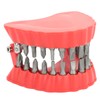 Denture Drill Bit Holder Denture Screwdriver Organizer 3D Sculpture Desk