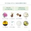 Bebi Lab 비비 연구소 모이스트 크림 마스크팩 프로 화이트 175그램
