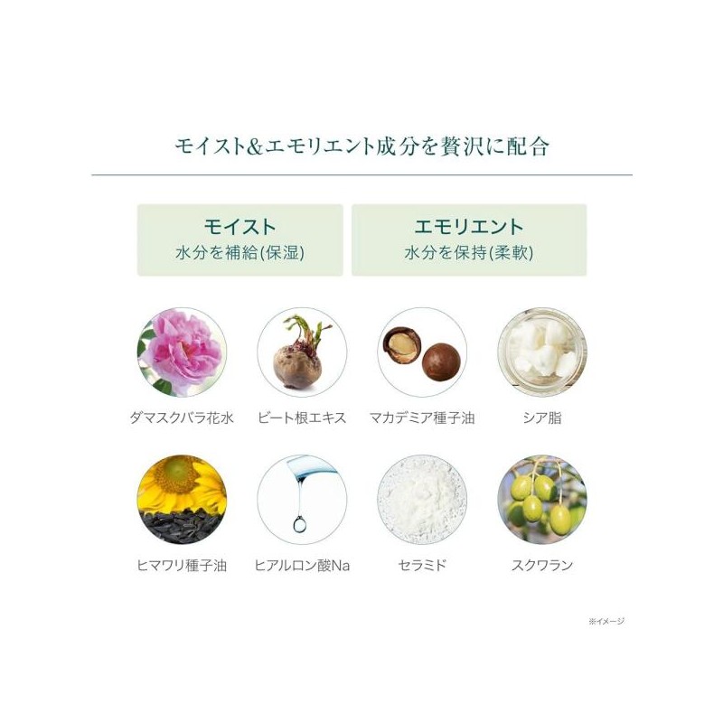 Bebi Lab 비비 연구소 모이스트 크림 마스크팩 프로 화이트 175그램