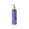 De Lorenzo Novafusion Colour Care Silver Shampoo 250ml