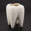 Dropfree Tooth Shape White Ceramic Flower Pot Modern Design Planter