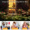 Solar Garden Lights 2 Pack Twinkling Solar Firework Lights with