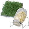 Royal Gardineer Sprouting Glass: Germination Glass with Metal Stand, Cress