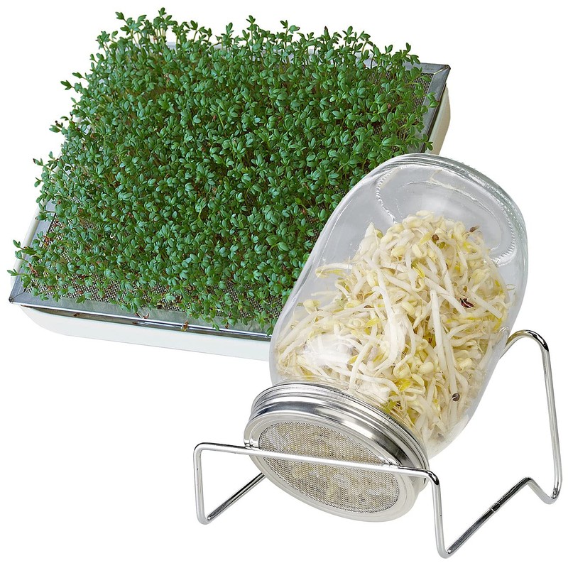 Royal Gardineer Sprouting Glass: Germination Glass with Metal Stand, Cress