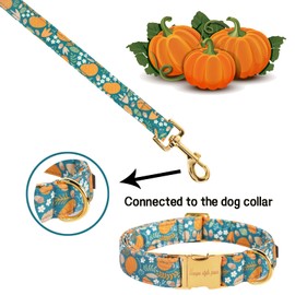 Unique style paws Fall Dog Leash with Soft and Comfy Handle Dog Traction Rope for Dogs and Cats-Green Pumpkin-XS