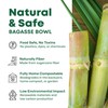 DISPOSABLE GREEN® | 24 cm x 18 cm Rectangle Tray