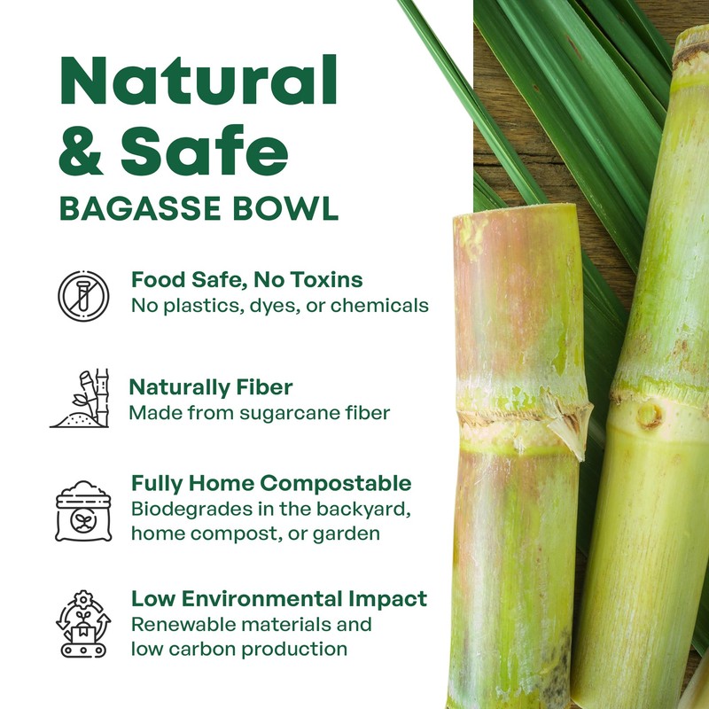 DISPOSABLE GREEN® | 24 cm x 18 cm Rectangle Tray