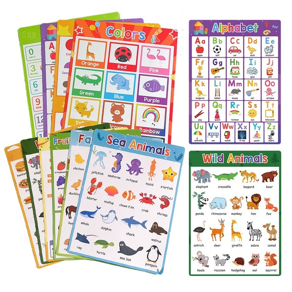 Lachilly Pre-Primer Fun Learning Poster Flash Cards - Perfect for