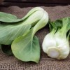 Nygardenia 1000pcs 'All Year Round' Chinese Cabbage Seeds - Heirloom