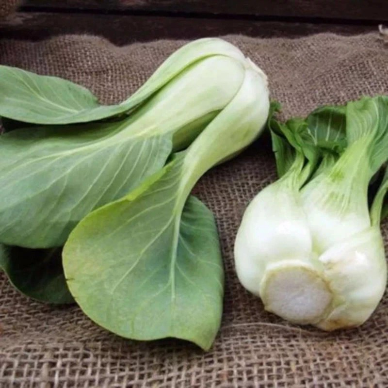 Nygardenia 1000pcs 'All Year Round' Chinese Cabbage Seeds - Heirloom