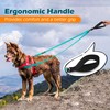 PetBonus Two Point Control Dog Leash, Works with No Pull