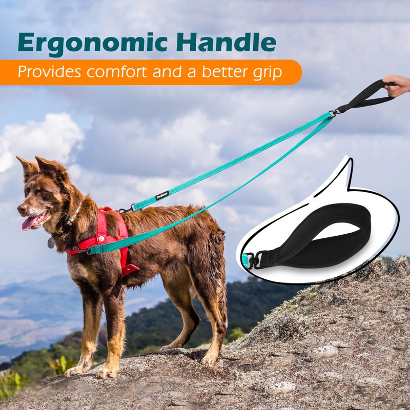 PetBonus Two Point Control Dog Leash, Works with No Pull