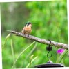 Hohopeti 2pcs Ant Moat Hook for Hummingbird Feeder Hanging Bird
