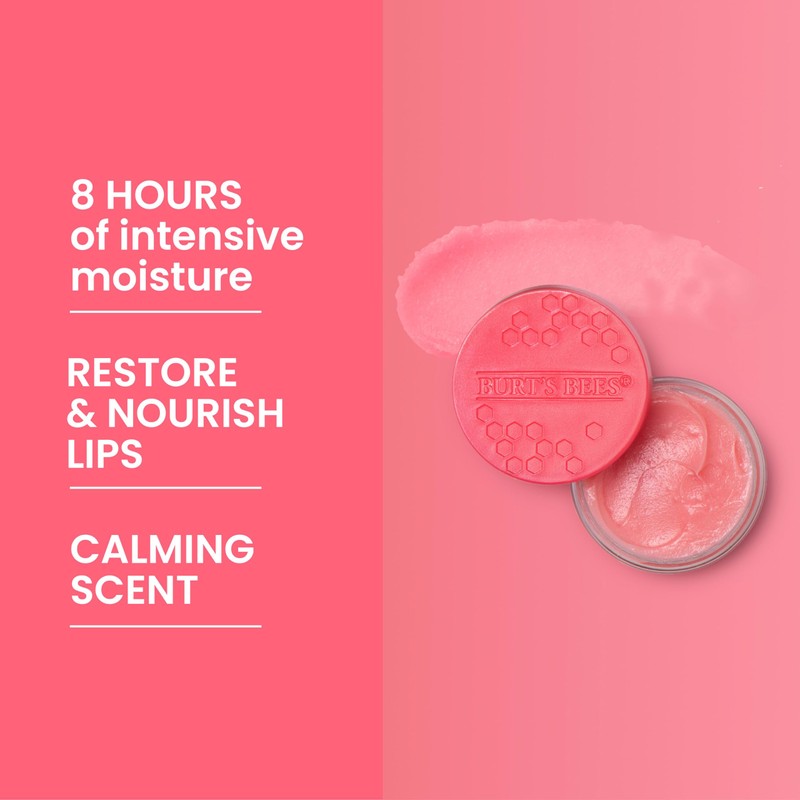 Burt's Bees Overnight Lip Sleeping Mask, 0.25 oz - Moisturizing,