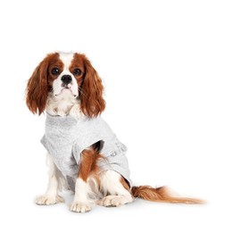 Flamingo Safety Body Harness Dog Coat, 26 cm, Grey