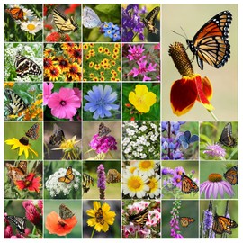 Perennial Wildflower Seeds Package with 31 Different Varieties 100,000+ Seeds, Hummingbird and Butterfly Garden Seeds, Popular Perennial Flower Seeds, Non-GMO Wildflower Seeds Mix for Your Garden
