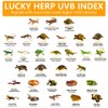LUCKY HERP 125 Watt UVA+UVB Vapor Heat Lamp Bulb, High