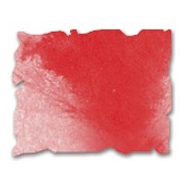 Presto Punch Cutting & Embossing Template Set: Petal Pack