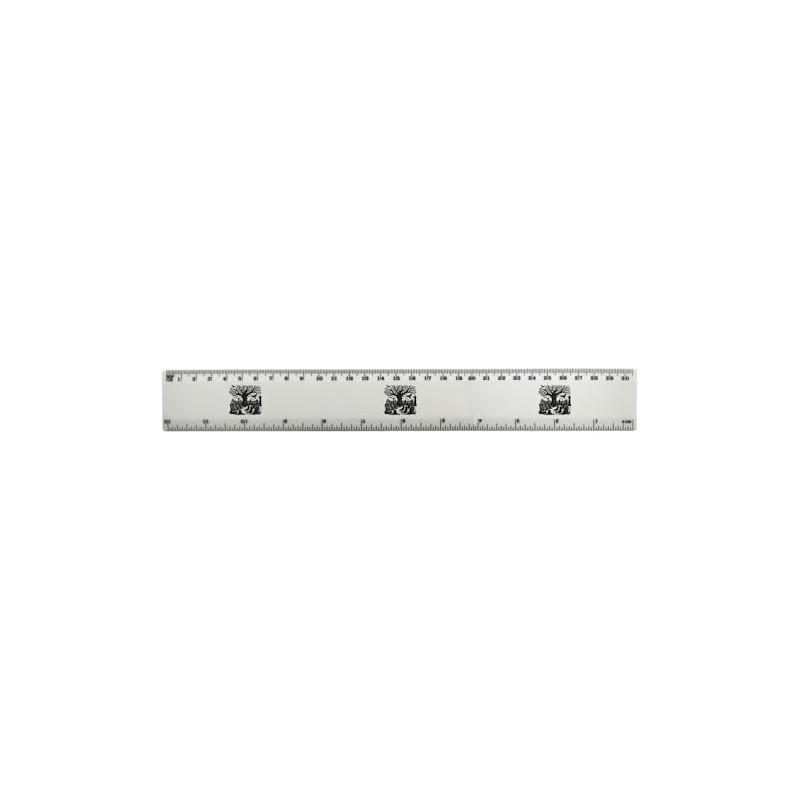 'Haunted Graveyard' 30cm (12 Inch) White Plastic Ruler (RL00086890)