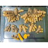 Fresh Turmeric Rhizome Root - 14 oz