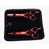 Kit de tijeras para corte de cabello Profesional 5.5"