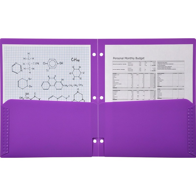 Lion 2-Pocket Plastic Folder for Binder, Lavender Purple, Pack of