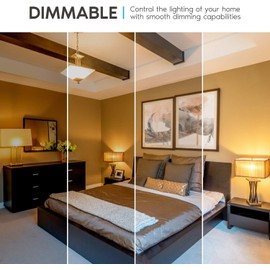 Diodesy- Pack of 4 LED9A19/27K/FIL/4 A19 LED Filament Light Bulb, Compatible on All Dimmers, 9W (75 Watts Equivalent), E26 Classic Clear Glass, 2700K Warm White, Dimmable, CRI90, 1100 Lumen, UL Listed