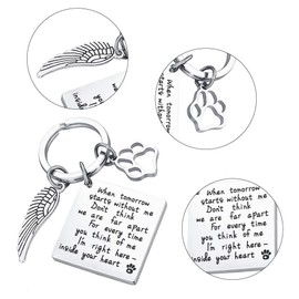 Memorial Keychain with Paw Charm, Keyring for Pets with Paw Prints, Pet Memorial Key Chain, Cat Paw for Car Keys, House Keys, Stainless Steel