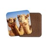 1 x Cute Smiling Camels Cork Backed Drinks Coaster -