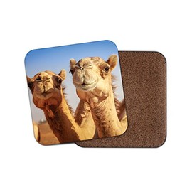 1 x Cute Smiling Camels Cork Backed Drinks Coaster - Camel Animal Fun #8278