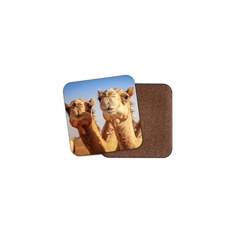 1 x Cute Smiling Camels Cork Backed Drinks Coaster -