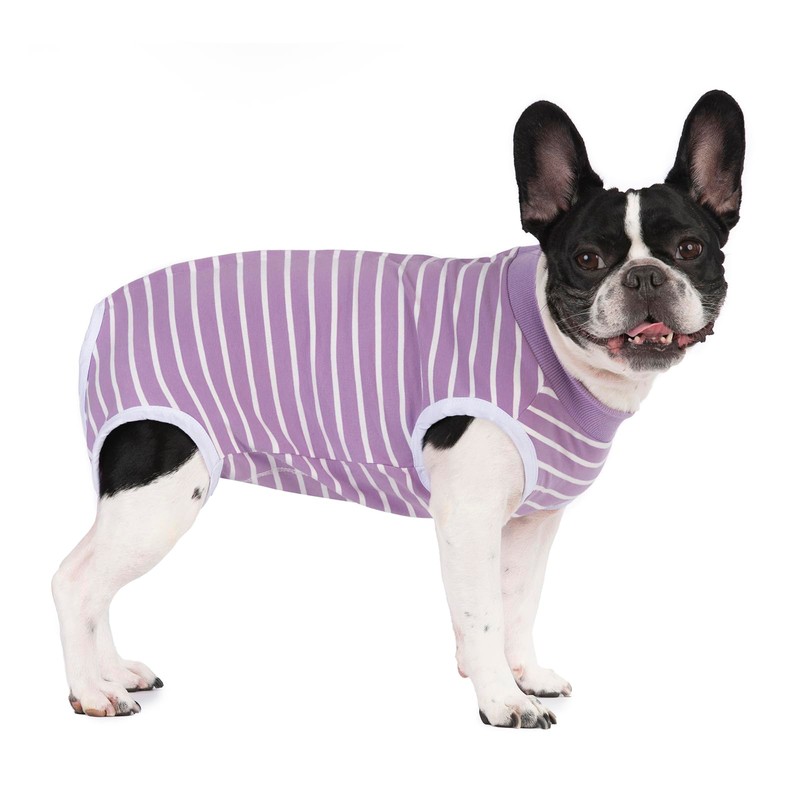 Recovery Suits for Small Dogs, Dog Cat Surgery Suits Prevent