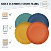 Wrova Wheat Straw Plates - 10 Inch Unbreakable Dinner Plates