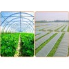 More Sizes Fine mesh Vegetable Protection Net Butterfly for Plant