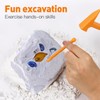 TOYANDONA Dino Dig Kit, 18pcs Dinosaur Dig Kit Tools Dino