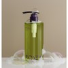 Roatti JMW Roatti Phytorest Anti-Hair Loss Scalp Care Hair Loss