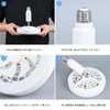 Shared Lighting, Ceiling Fan, Fan Light, Small, E26, 60W Equivalent,