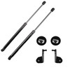 BESTAOO Front Hood Lift Supports Shocks for Ford Bronco Accessories