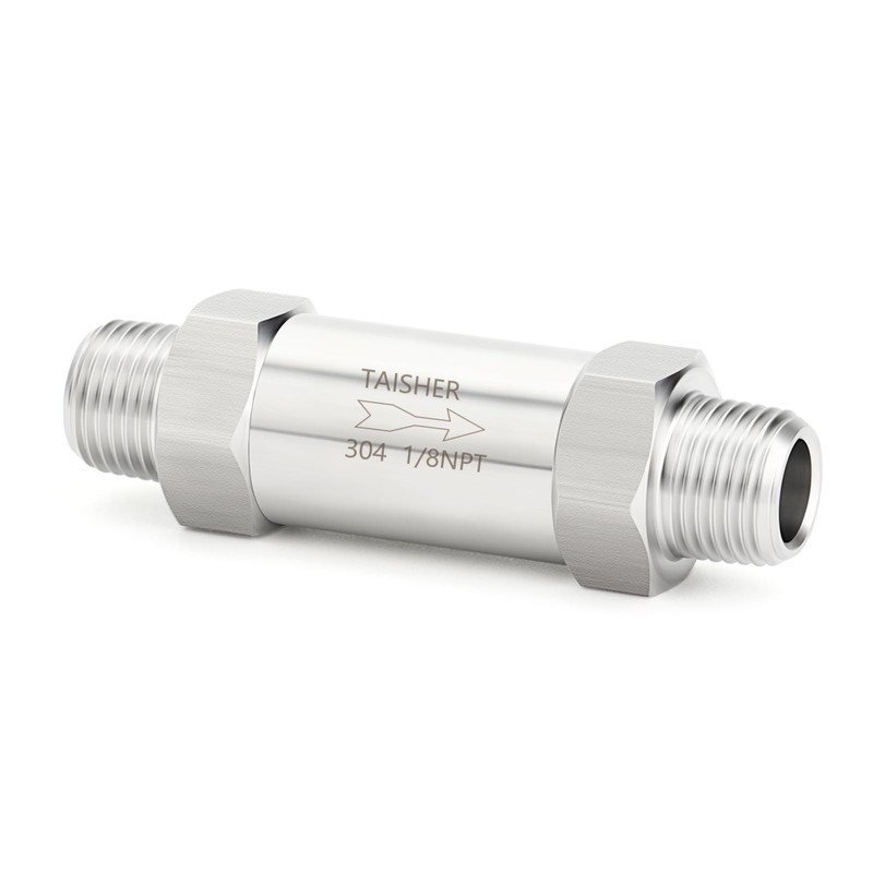TAISHER 1PCS 304 Stainless Steel 1/8" NPT Male Check Valve,Backflow