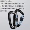 Frenflu Carabiner, 2 Pieces, Ultra Lightweight, Load Capacity, 12 KN
