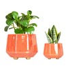 YQSLYSF 6 Inch + 4 Inch Ceramic Planter for Indoor