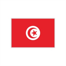 Womaha 30 Sheets Temporary Tunisia Flag Tattoos for Kids Adults Fans Fake Face Tattoo Stickers