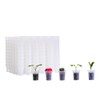 BangQiao 300 Pack 1.80 Inch Tiny Clear Plastic Nursery and