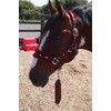 Equipride Horse Print Faux Lined Nylon Headcollars with Matching Lead