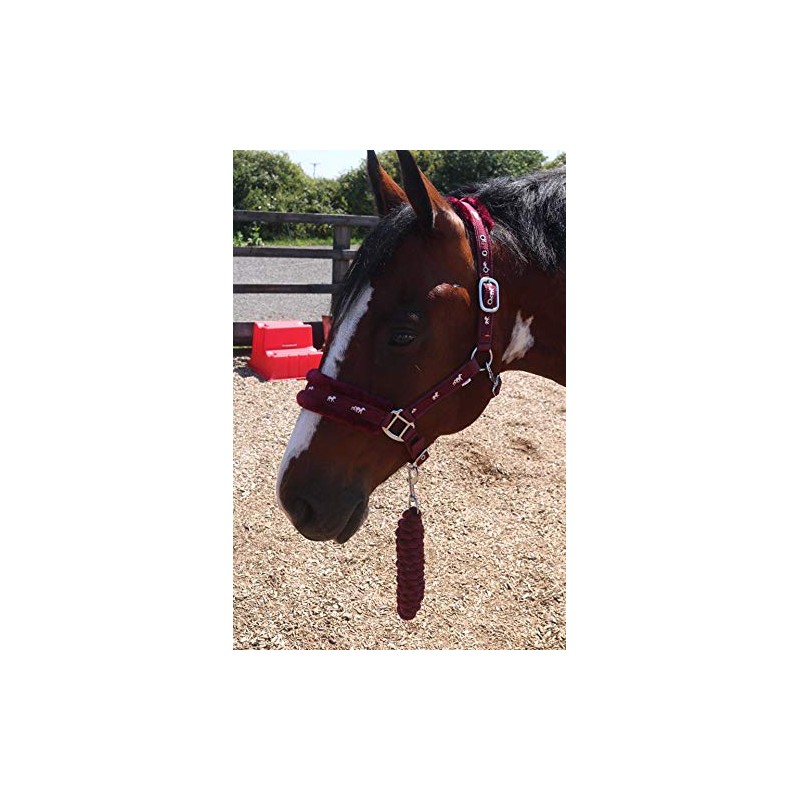 Equipride Horse Print Faux Lined Nylon Headcollars with Matching Lead